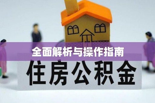 鲤城全面解析与操作指南