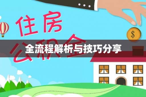 鲤城全流程解析与技巧分享